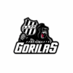 Henectus tincidunt - Imagem 2